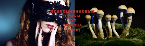каннабис Осташков