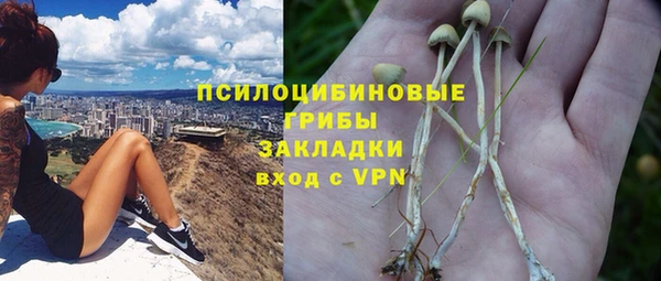 spice Нязепетровск