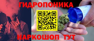 сатива Берёзовский
