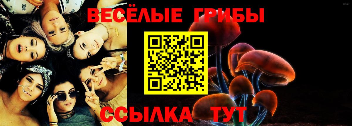 Псилоцибиновые грибы мухоморы Лысьва
